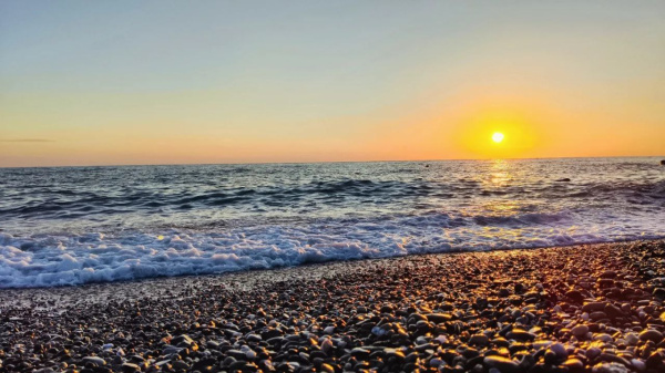 Эколог рассказал, зачем нужен карбоновый полигон в Крыму