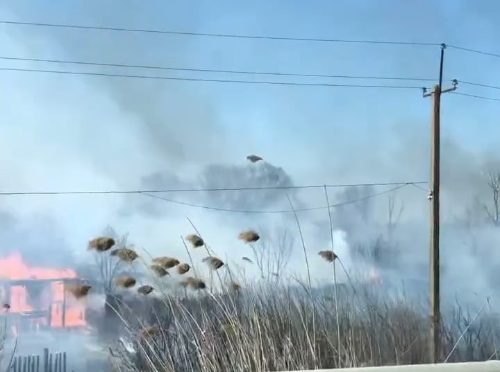 "Таскали воду вёдрами": очевидцы рассказали, как помогали тушить пожар в СНТ "Нефтяник"