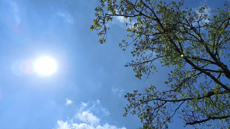 В Самарскую область на следующей неделе вернется 23-градусное тепло