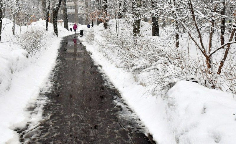 Жители Отрадного предлагают территории для благоустройства в 2025 году 