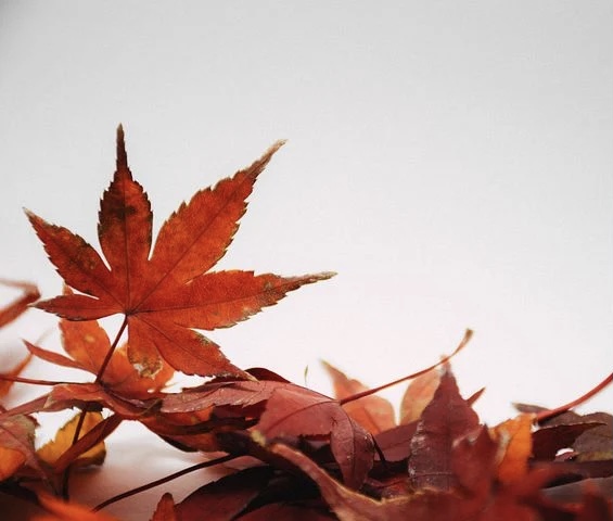 Усиление ветра до 18 м/с ожидается в Самарской области 