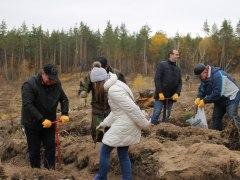 В Тольятти пытаются восстановить лес, сгоревший в пожарах 2010 года