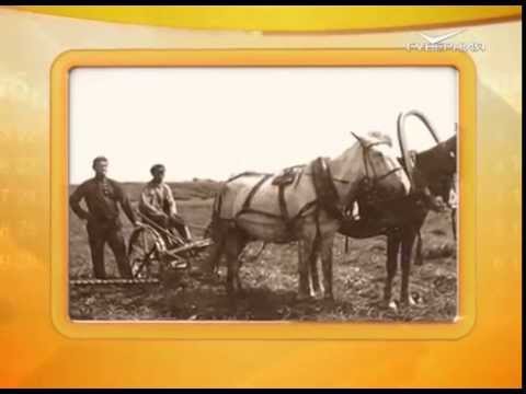 Календарь губернии 29.11.2015 