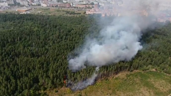 В Тольятти ликвидируют лесной пожар на площади 10 600 кв. м