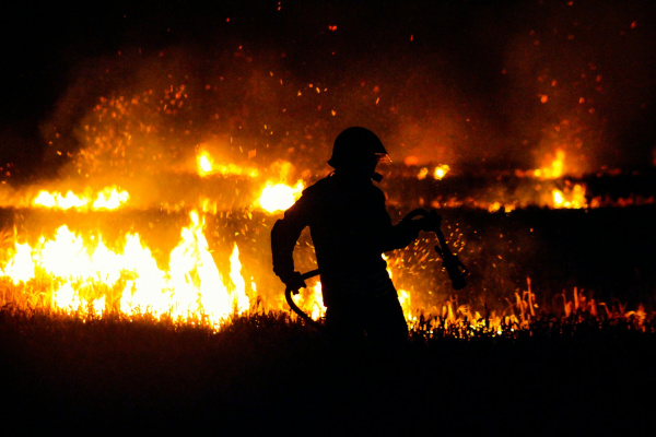 В Самарской области сохраняется высокая пожарная опасность лесов