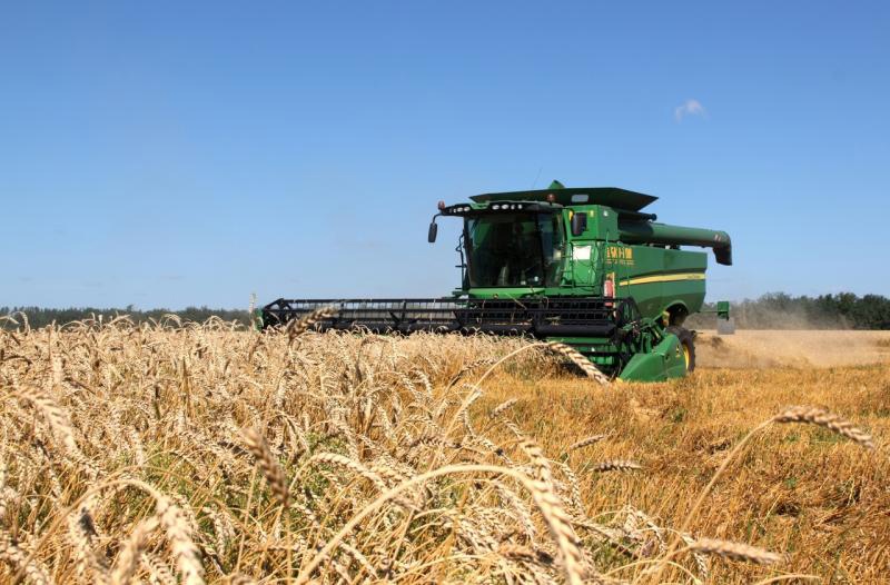 В Самарской области убрано 95 % площадей зерновых