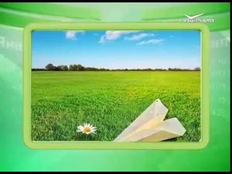 Календарь губернии 18.07.2015 