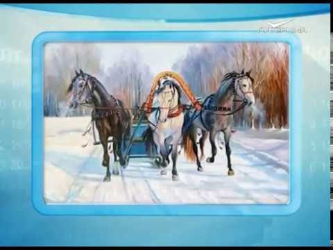 Календарь губернии 05.12.2016