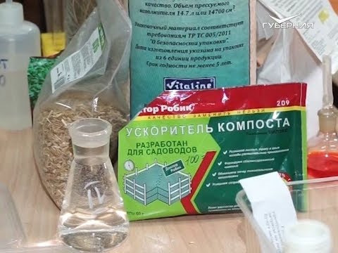 Самые полезные бактерии для почвы. Удачные заметки