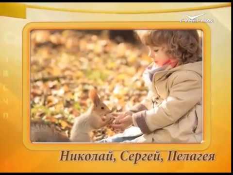 Календарь губернии 20.10.2016