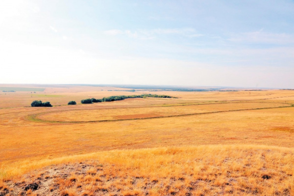 В Самарской области готовят путеводитель по Алексеевскому району