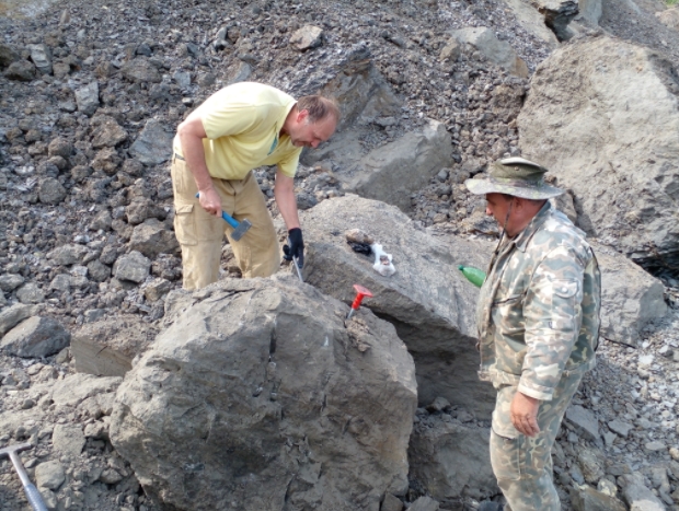 В Самарской области нашли останки ихтиозавра