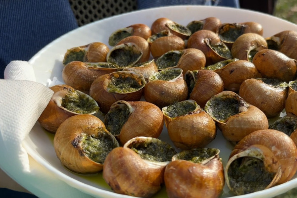 В Самарской области улиткам посвятили фестиваль