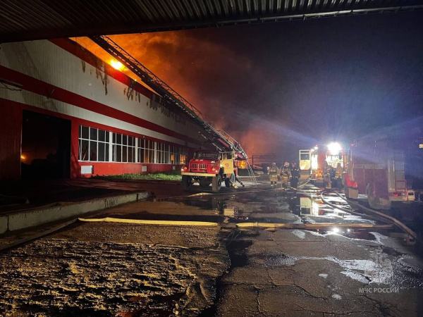 В Тольятти произошёл крупный пожар на заводе по производству дверей