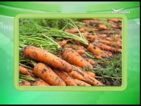 Календарь губернии 01.05.2017