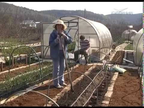 Дачные советы 7.05.2015 