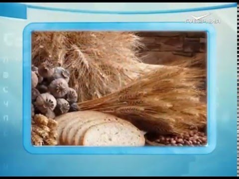 Календарь губернии 05.02.2016