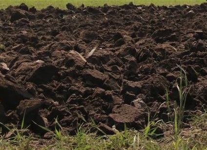 В Самарской области произошел разлив нефти на полях