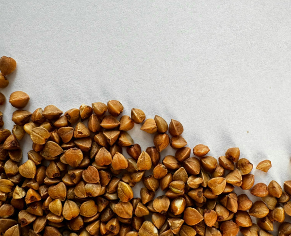 Специалисты Роспотребнадзора развеяли мифы о гречке