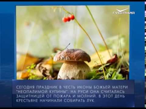Календарь губернии 17.09.2017