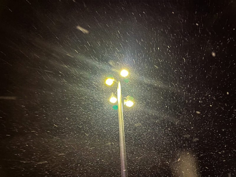 В Самарской области 15 декабря ожидается сильный и шквалистый ветер