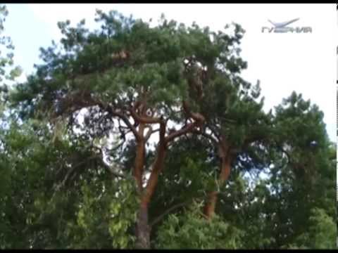 Путь паломника 30.08.2014