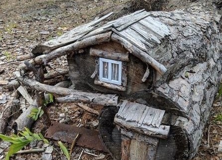 Домик хоббитов нашли в нижегородском лесу