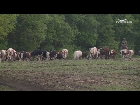 Победители нового отбора конкурса "Агростартап". Агрокурьер