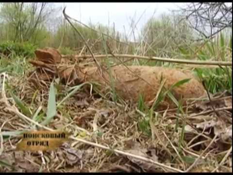 Поисковый отряд 20.05.2014