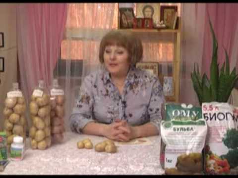 Дачные советы 6.03.2014