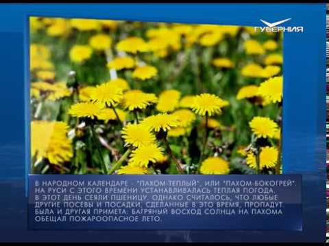 Календарь губернии от 28.05.2018