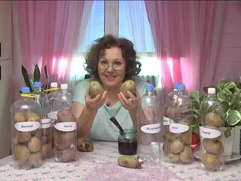 Дачные советы 5.03.2015 