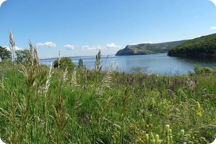 В национальном парке "Самарская Лука" появилась "ЭКОтропа63"