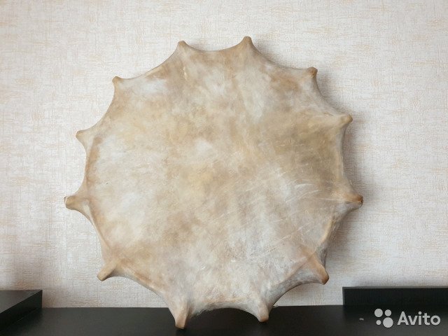 Мужчина хочет продать шаманский бубен за 1,5 миллиона рублей в Новосибирске