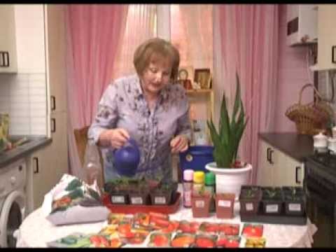 Дачные советы 27.02.2014