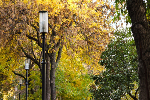 От научных лекций до экомарафона: чем заняться в ближайшие выходные в Самаре