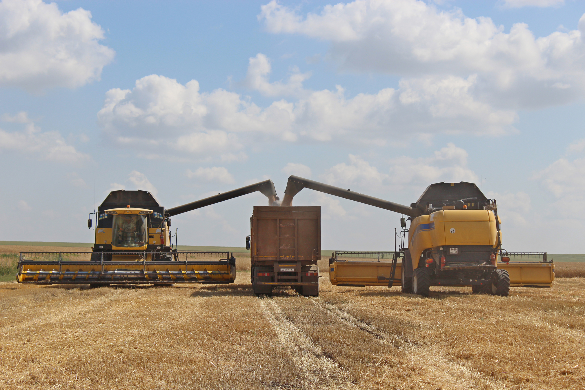 Уборка зерновых в поле. Поле зерна. Уборка урожая комбайнами. Уборка зерна. Уборка зерновых в поле.
