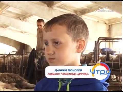 Утро Губернии 08.06.2017. Генетика