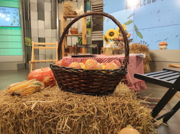 Прямая трансляция: стартовал телемарафон По осени считаем