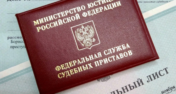 Не помогала сыну: в Самарской области женщину осудили за продажу смартфона, который арестовали в счет алиментов