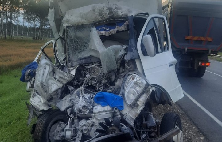Мужчина на "Газели" влетел в сломанный грузовик на трассе в Самарской области