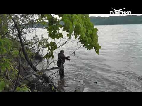 Поиски белой рыбы. Рыбацкое счастье