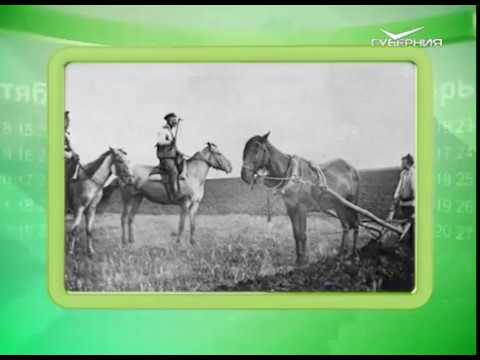 Календарь губернии 28.07.2017