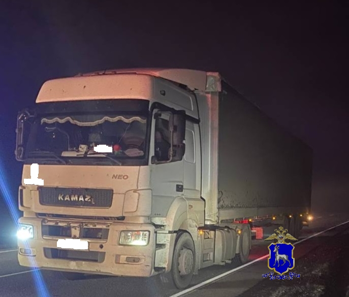 В Сызранском районе на туманной трассе мужчину насмерть сбил КамАЗ