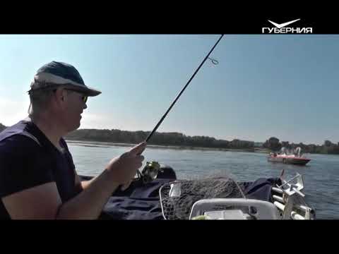 Рыбалка на протоке. Рыбацкое счастье