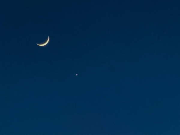 Сон в ночь с 22 на 23 января 2025 года: толкование по лунному календарю