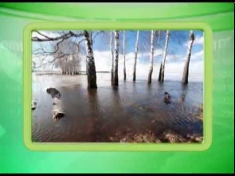 Календарь Губернии 16.04.2014