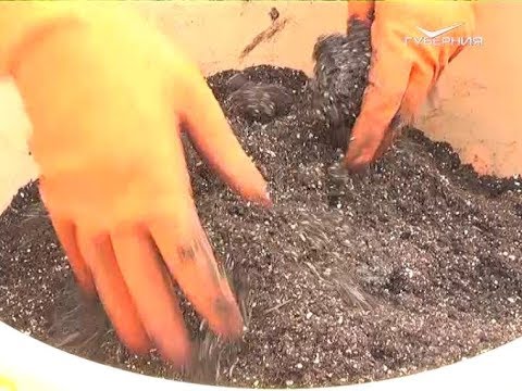 Готовим почвенную смесь для рассады. Дачные советы