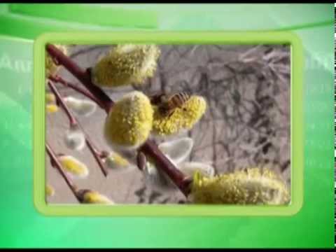 Календарь Губернии 1.04.2014