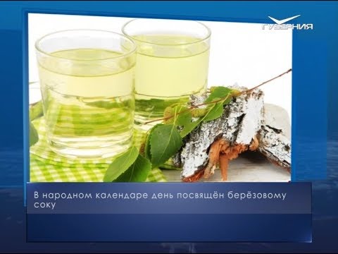 День березового сока. Календарь губернии от 11 мая